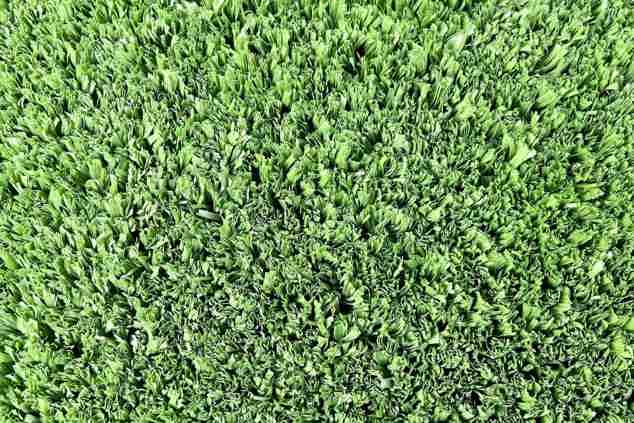 Synthetic Turf